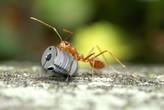 Giunti flessibili miniaturizzati