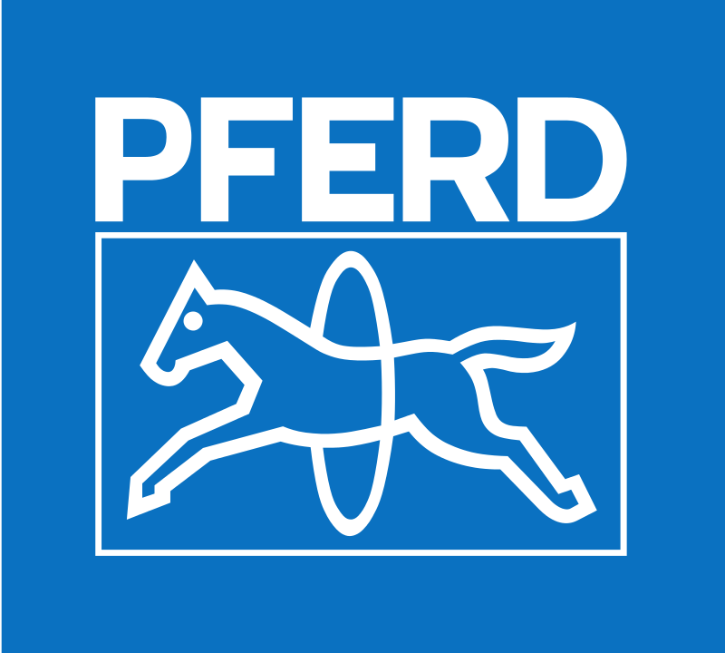 Risultati immagini per PFERD ABRASIVI
