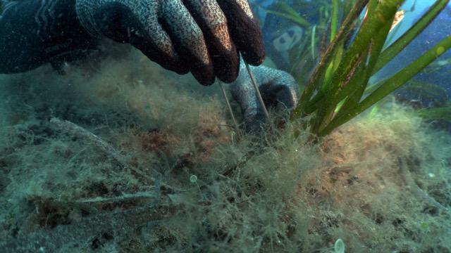 Valore a lungo termine per le comunità e l’ecosistema marino Valore a lungo termine per le comunità e l’ecosistema marino