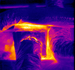 Termocamere portatili radiometriche