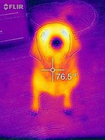 FLIR ONE trasforma l’iPhone in termocamera